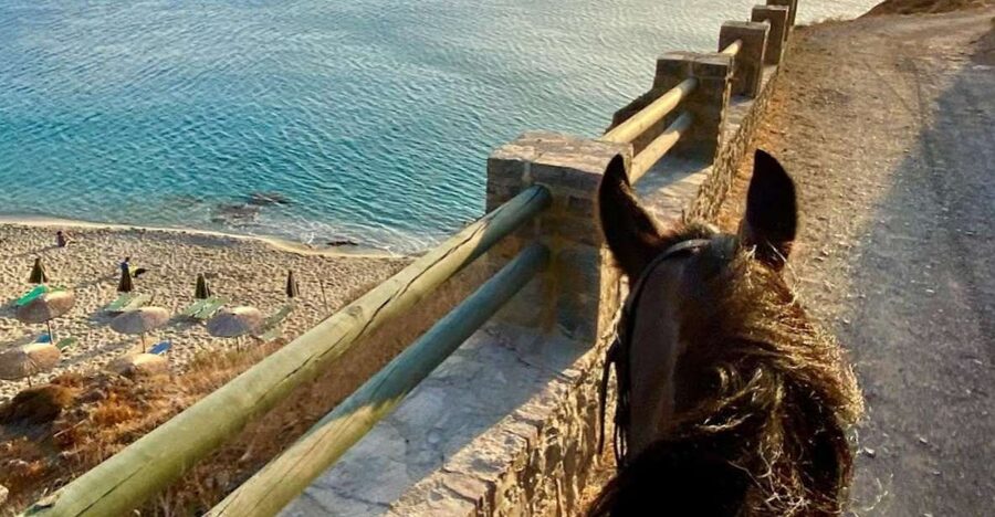 Crete Horse Riding: East Coastline Ride - What the $106 price includes