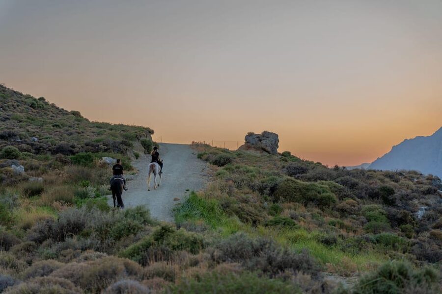 Crete Horse Riding: Mesmerising Sunset Ride - What the horses and guides mean for beginners