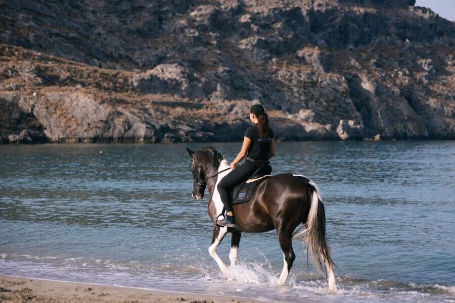 Crete Horse Riding: Plakias Beach Ride - Is $153 good value for two hours?