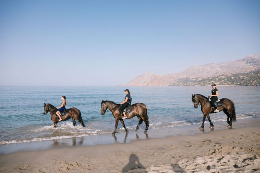 Crete Horse Riding: Plakias Beach Ride - Who will enjoy this ride most?