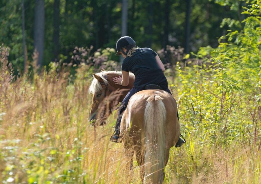 Cruseilles: Horseback Riding in the Countryside - Small details that make the decision easier