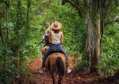 Cruseilles: Horseback Riding in the Countryside