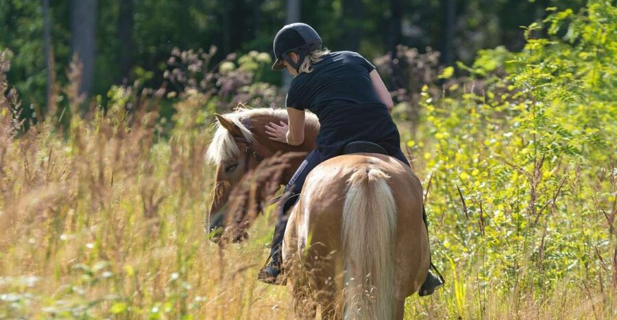 Cruseilles: Horseback Riding in the Countryside - Walking, trotting, and the possibility of a faster stretch
