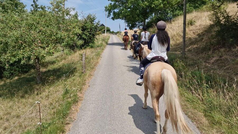 Cruseilles: Horseback Riding in the Countryside - Why the scenery works in a one-hour ride