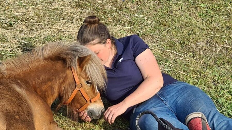 Cruseilles: Horseback Riding in the Countryside - Who should book this ride