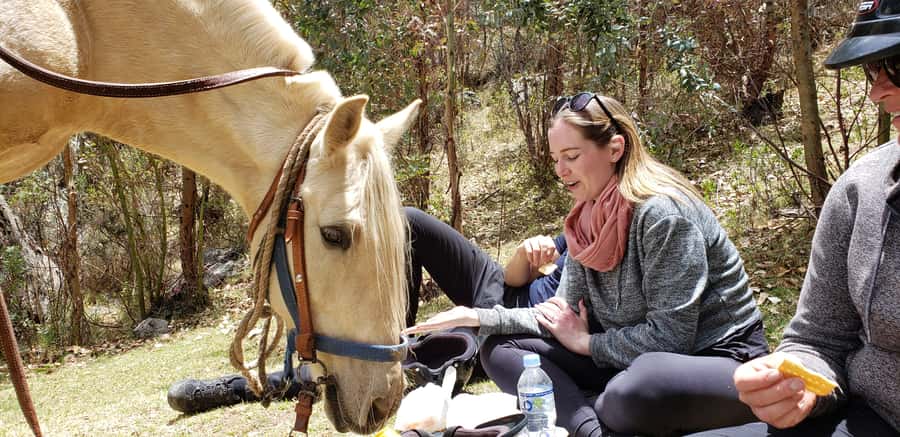 Cusco: Half-Day Horseback Riding at Devil's Balcony - Riding above Cusco instead of through it