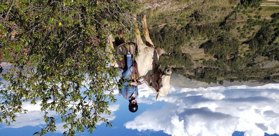 Cusco: Half-Day Horseback Riding at Devil's Balcony - How the $85 price holds up
