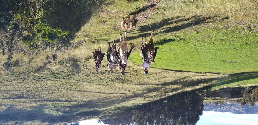 Cusco: Hidden Incan Temples Full-Day Horseback Riding Tour - Inkilltambo, an Incan Checkpoint