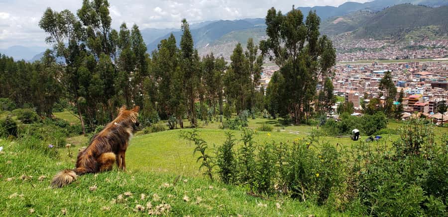 Cusco: Hidden Incan Temples Full-Day Horseback Riding Tour - Balcon del Diablo and the Final Riding Section