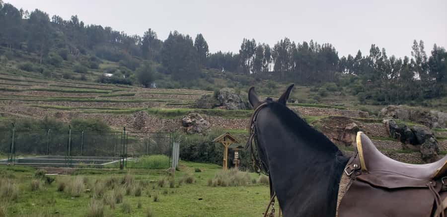 Cusco: Hidden Incan Temples Full-Day Horseback Riding Tour - Getting Started at Vieja Estancia Ranch