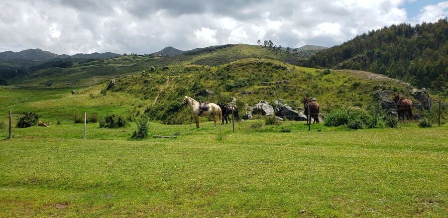 Cusco: Sacsayhuaman Guided Tour and 1-Hour Horseback Ride - One hour on horseback near 3,800 meters