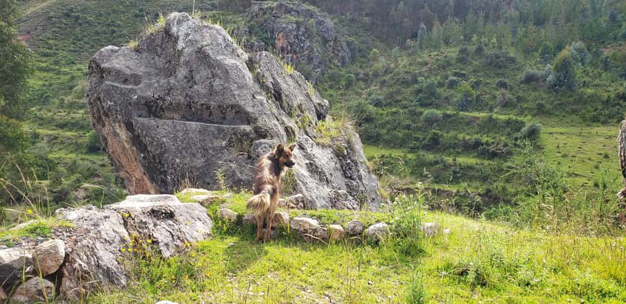Cusco: Sacsayhuaman Guided Tour and 1-Hour Horseback Ride - Tambomachay and Puka Pukara after the ride