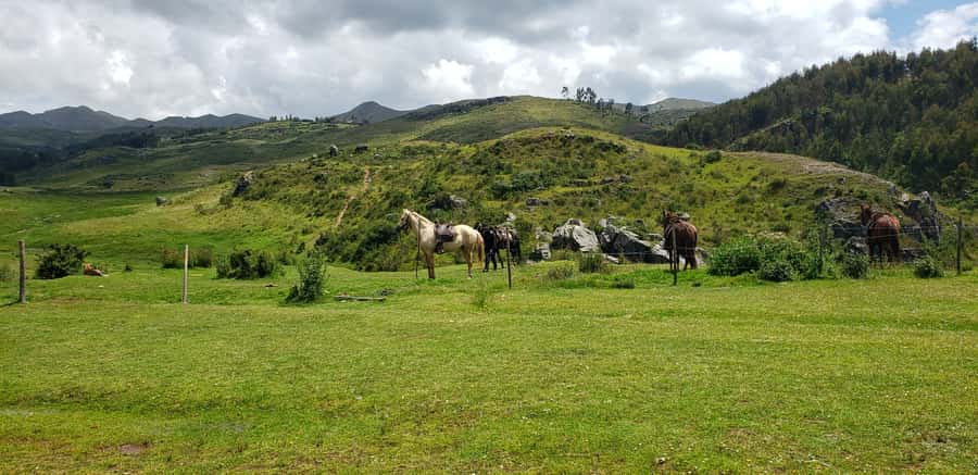 Cusco: Sacsayhuaman Guided Tour and 1-Hour Horseback Ride - How the $90 price measures up
