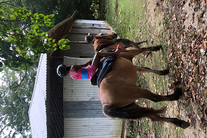 Customize Day Tour In Ochi (Horseback Riding,Rafting,Blue Hole, Dunns River ) - Blue Hole pools, rope swings, and forest cascades