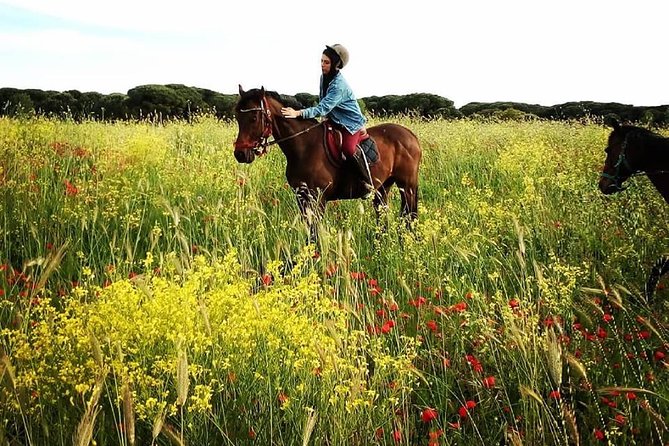 Daily out of Rome : Horseback ride with meals & wine included - Why the private format matters