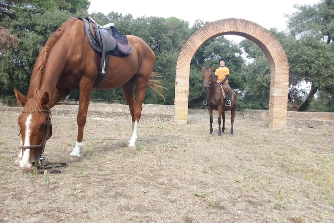 Daily out of Rome : Horseback ride with meals & wine included - How the $325.60 price measures up