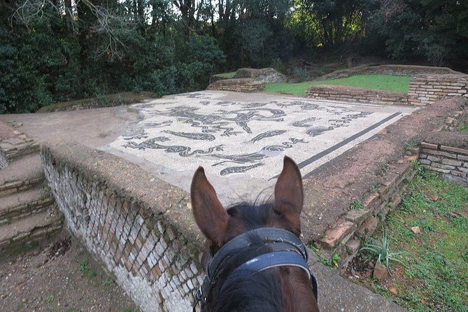 Daily out of Rome : Horseback ride with meals & wine included - The trail ride through Simbruini National Park
