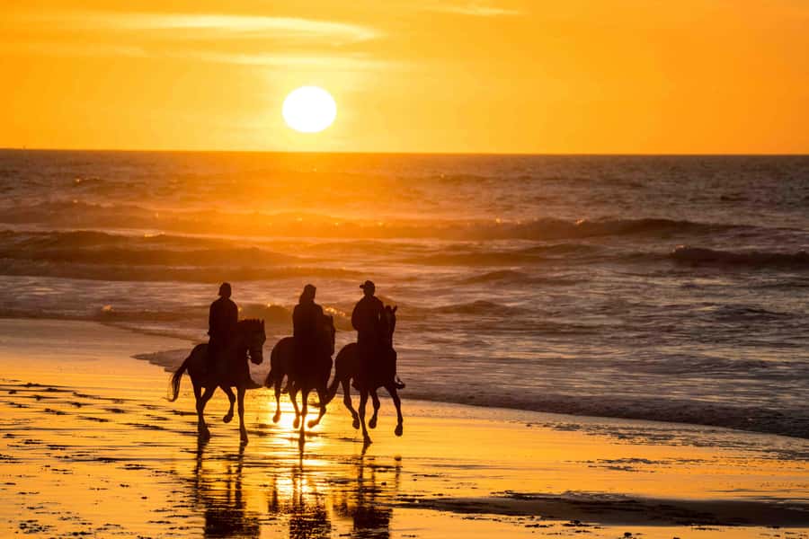 Dakhla: Horseback Riding Tour - Key things to know before booking