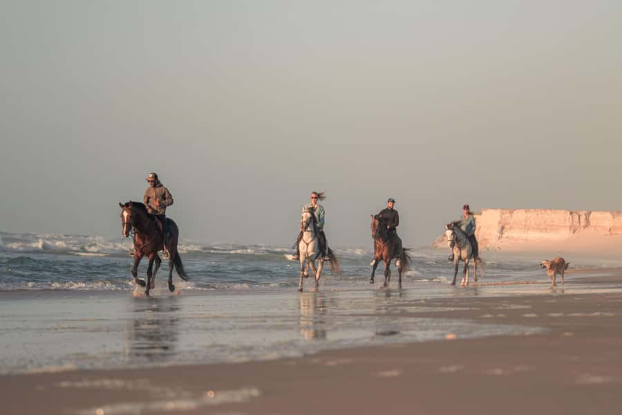 Dakhla: Horseback Riding Tour - Riding between the Atlantic and the Sahara