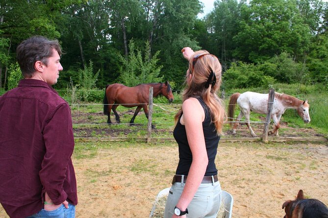 Day Trip from Paris - French Food, Rural Experiences & Horses! - A four-hour visit built around lunch