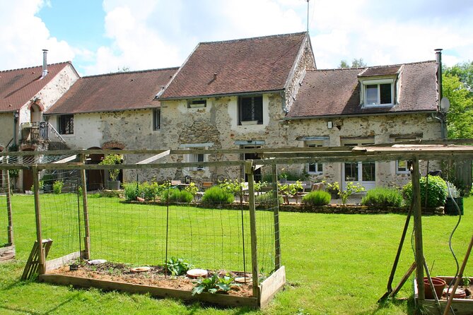Day Trip from Paris - French Food, Rural Experiences & Horses! - Meeting the horses in the paddock