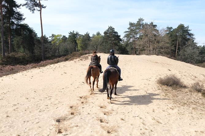 Day Trip to Fontainebleau : Horse Riding, Gastronomy and Castle - Entering Château de Fontainebleau