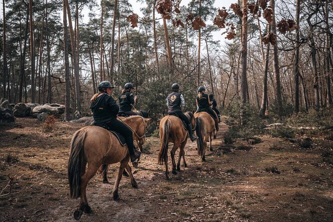Day Trip to Fontainebleau : Horse Riding, Gastronomy and Castle - What the Private Format Really Buys You