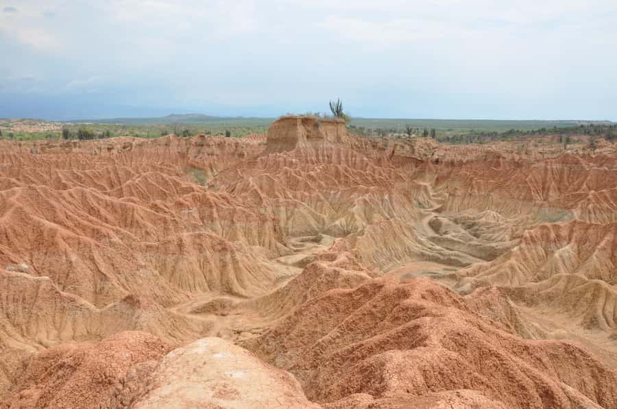 Day Trip to Tatacoa Desert (Horseback, Boat, Stargazing, ..) - Walking the gray and ochre desert before sunset