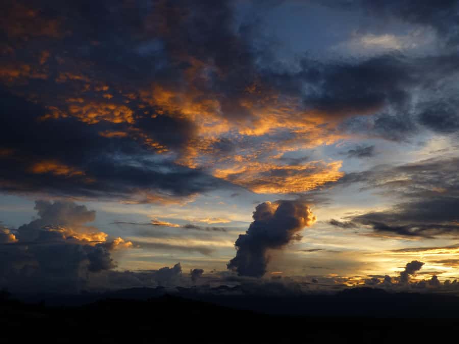 Day Trip to Tatacoa Desert (Horseback, Boat, Stargazing, ..) - What the $265 price really covers