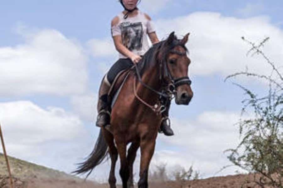 De Rust: Stompdrift Trail - Horse Riding Experience - Key points at a glance