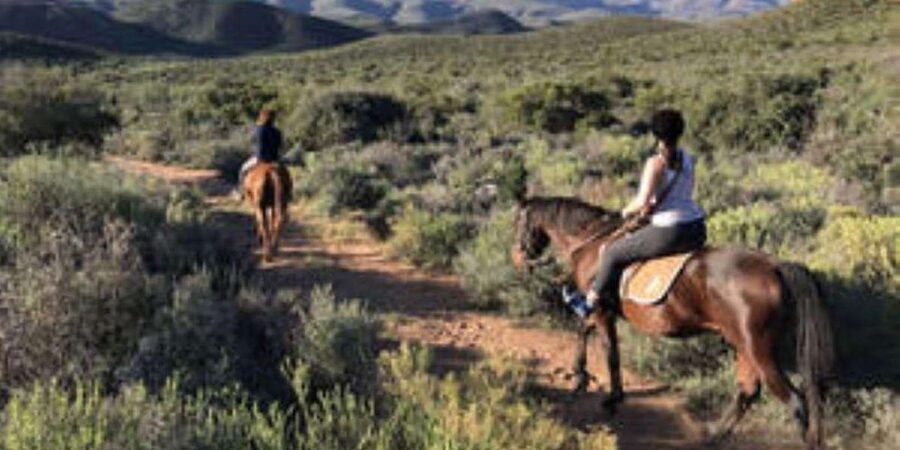 De Rust: Stompdrift Trail - Horse Riding Experience - Is $56 a fair price?