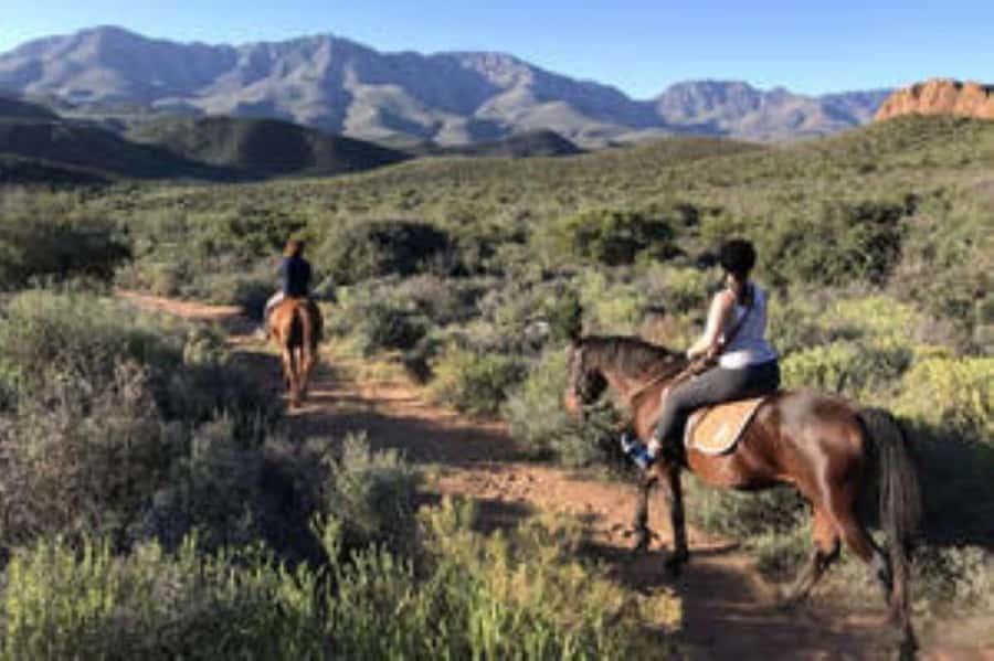 De Rust: Stompdrift Trail - Horse Riding Experience - Young horses and a working farm feel
