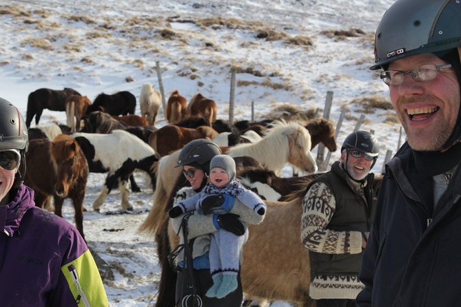 Deacon Horse Riding Tour - Riding from Ytri-Bægisá into North Iceland’s open country
