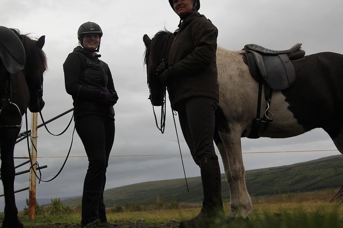 Deacon Horse Riding Tour - The small drawbacks to weigh