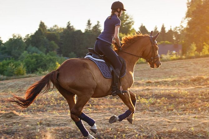 Desert Horse Riding- 1 Hour - Key points to know before booking