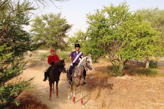 Desert Horse Riding- 1 Hour - Leaving Dubai’s city behind at Mushrif Park