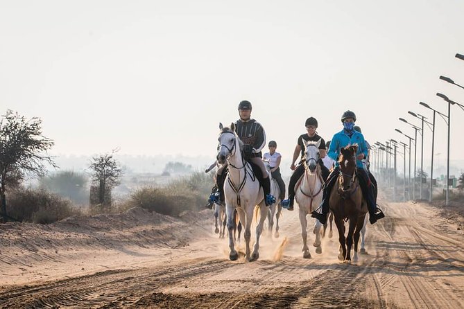 Desert Horse Riding- 1 Hour - The first few minutes: briefing and horse selection