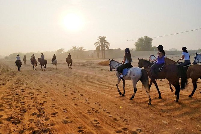 Desert Horse Riding Experience in Dubai - Key points to know before booking