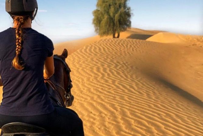 Desert Horse Riding Experience in Dubai - A quieter way to see Dubai’s desert