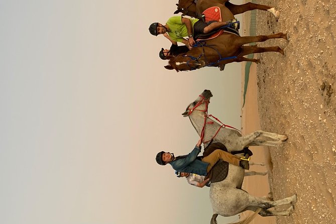 Desert Horse Riding Experience in Dubai - One hour across the dunes and plains