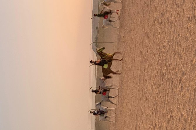 Desert Horse Riding Experience in Dubai - Why the private format matters
