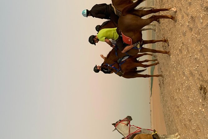 Desert Horse Riding Experience in Dubai - Drinks, Karak tea, and a simple desert pause