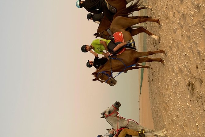 Desert Horse Riding Experience in Dubai - Price and what you receive for $68.77