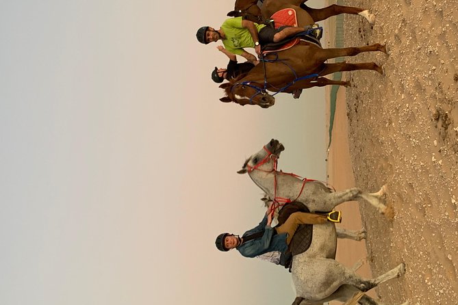 Desert Horse Riding Experience in Dubai - Who should book this ride