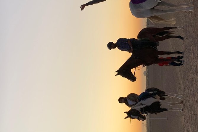 Desert Horse Riding Experience in Dubai - Starting at Sahara Stables