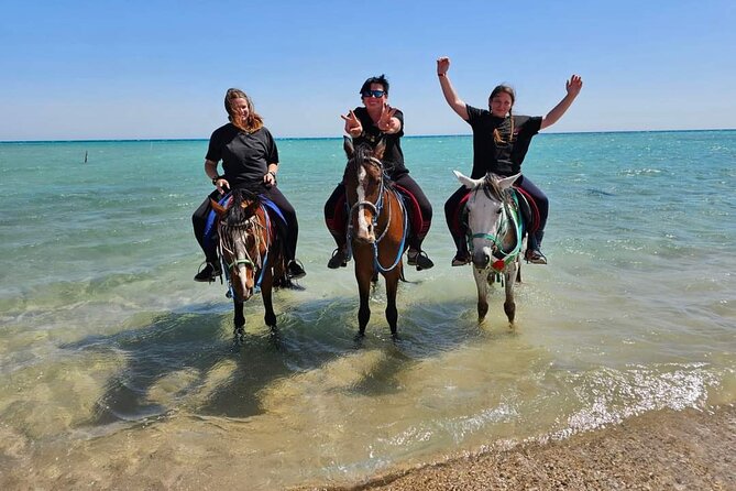 Desert & Sea Adventure – 3-Hour Horse or Camel Riding Experience - What the three-hour Hurghada outing is really like