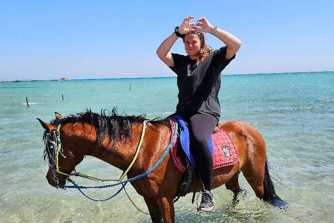 Desert & Sea Adventure – 3-Hour Horse or Camel Riding Experience - Hotel pickup makes the outing easier