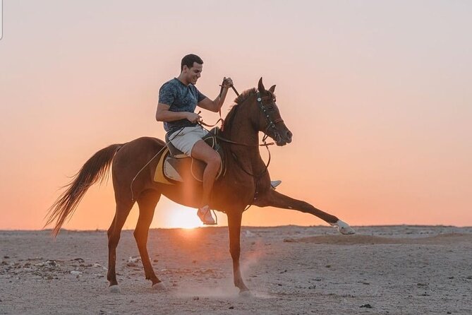Desert & Sea Adventure – 3-Hour Horse or Camel Riding Experience - Small groups and help for first-time riders