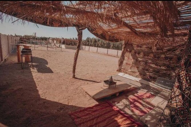 Desert & Sea Adventure – 3-Hour Horse or Camel Riding Experience - What is included, and what costs extra