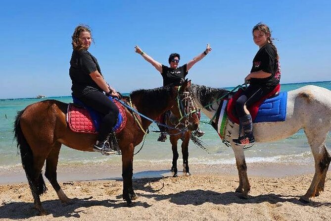 Desert & Sea Adventure – 3-Hour Horse or Camel Riding Experience - Across Hurghada’s golden desert